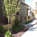 Steel Awnings by EBM Construction for Devon Square by Pulte homes